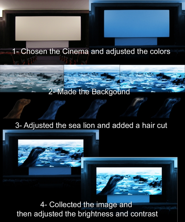 Creation of Cinema: Step 1